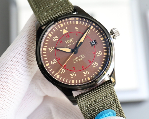 アイ・ダブリュー・シー背面デザイン